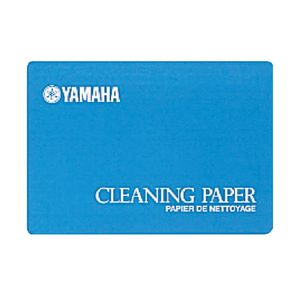 PAPEL LIMPIADOR ZAPATILLA FL CLEANING-PAPER